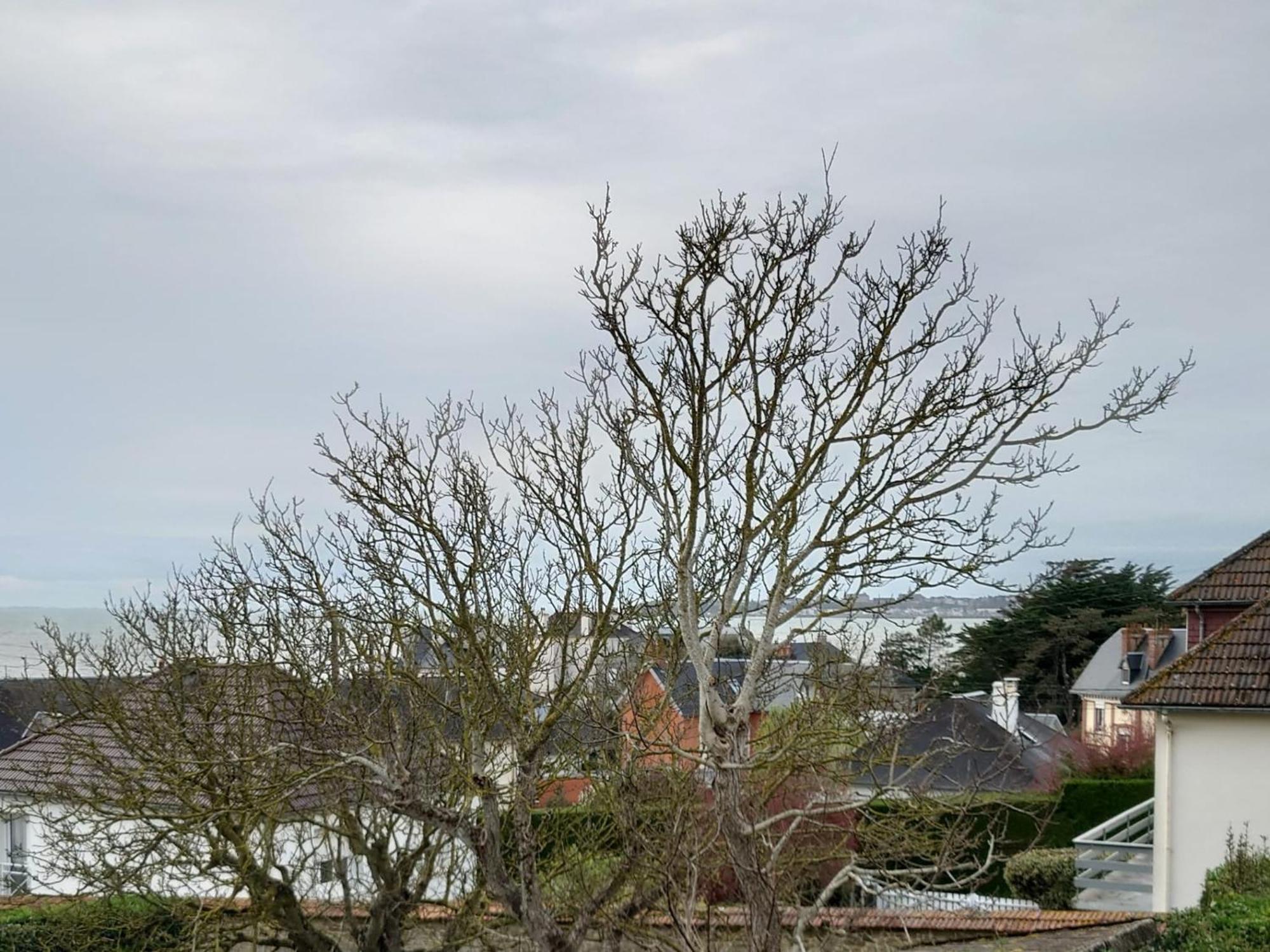 Les Hirondelles Apartment Saint-Pair-sur-Mer